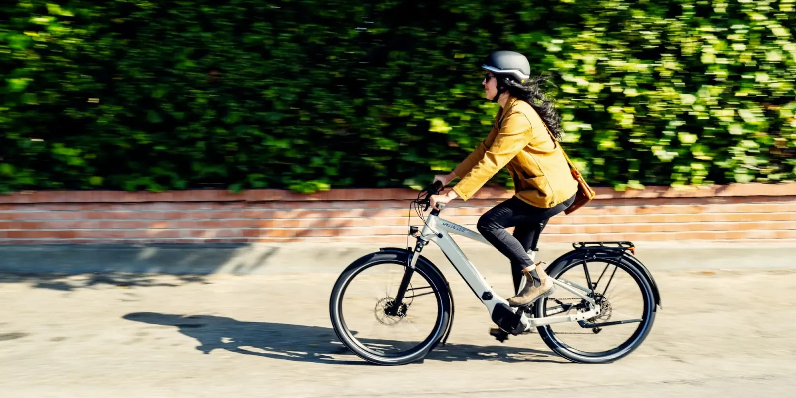 ebike torque